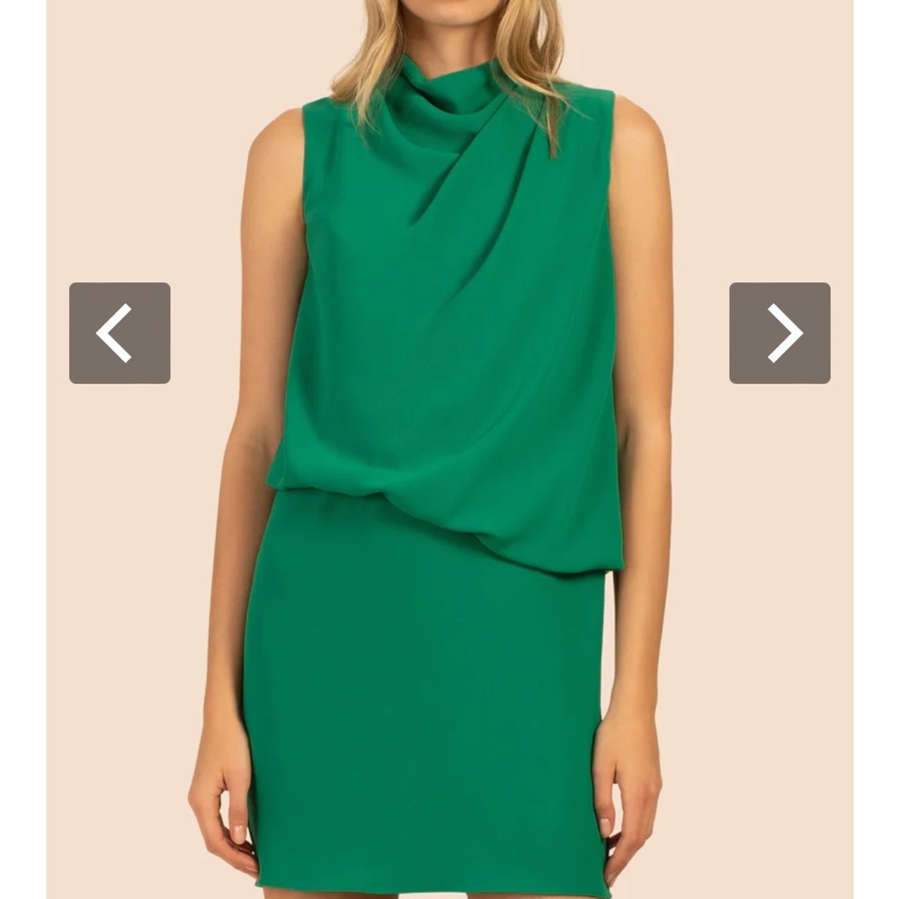 Trina Turk Lenaya Dress. Size 10. Worn only once.